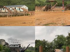 -杭州野生动物世界