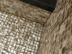 汤池里边全都是各种渣-玫瑰汤泉酒店