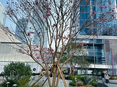 -深圳湾万象城(南山店)