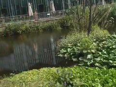 -西湖风景区-江洋畈生态公园