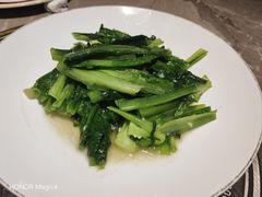 -新渝城·始于2000年(淘金店)