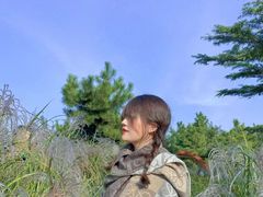 -羊亭河湿地公园