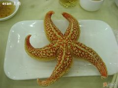 海星-海岛渔村大酒店(云霄路店)