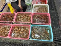 -老字号蛇口德记烧腊饭店·海鲜加工