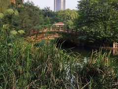 -绵阳人民公园(涪城区)