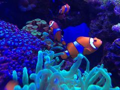 -多彩贵州城极地海洋世界