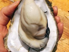 -烧蠔帮·湛江生蚝(工农店)