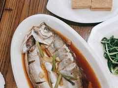 -老马家·舌尖上的西塘美食