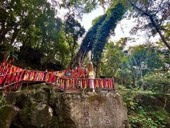 -七仙岭温泉国家森林公园