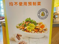 -油梨树AVOCADO TREE(望京店)