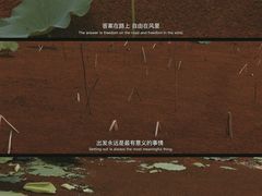 -荷塘月色湿地公园·向阳花洲