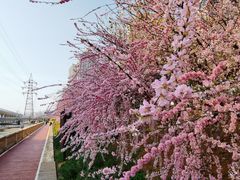 -马栏河运动公园