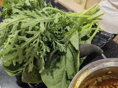 -呷哺呷哺(西单大悦城店)