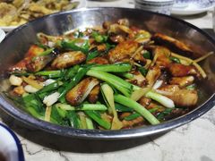 姜葱焖鸭嘴鱼-鲤鱼塘农家山庄