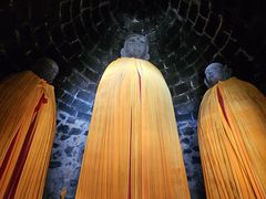-白水寺森林公园
