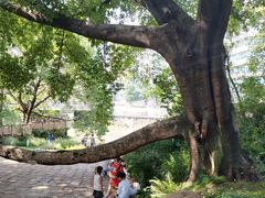 -成都市活水公园