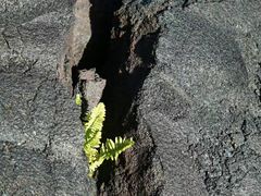 -夏威夷火山国家公园