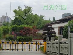 -月湖公园