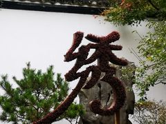 -杭州植物园