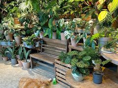 -自由生长植物工作室(深港花卉中心店)