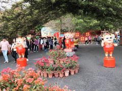 -牛鱼嘴原始生态风景区