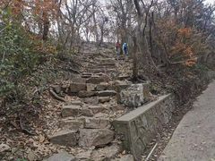 -紫金山山顶公园