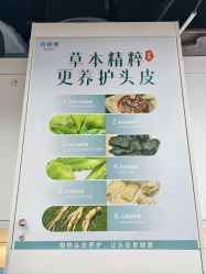 -诗碧曼养发