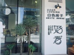 -好看加白色房子