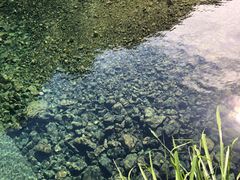 -白云源风景区