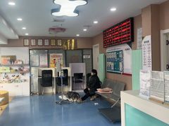 -天使宠物医院·犬猫分诊(彩虹店)