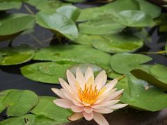 -宁波市保国寺古建筑博物馆