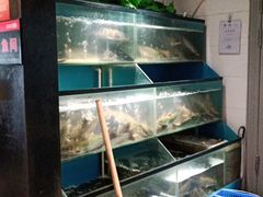 水产区-老板恋上鱼(印象城店)