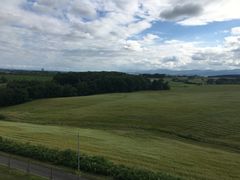 -富田农场
