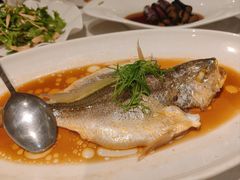 黄鱼-金美华轩(东方路齐鲁店)