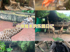 -长鹿旅游休博园