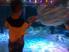 -暹罗海洋世界