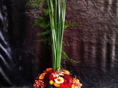 -荷兰布尔玛国际花艺学院