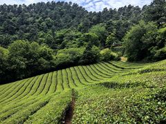 -敬亭山风景名胜区