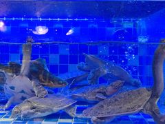 -奢谷·海鲜自助(南海万科店)