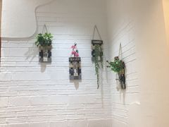 -冲浪熊西餐厅(南戴河店)