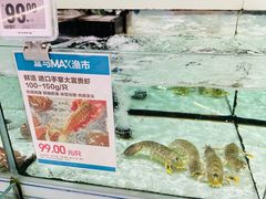 -盒马X会员店(上海森兰商都店)