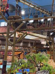 -卡通尼·Safari非洲探索乐园·生日会(金桥国际商业广场店)