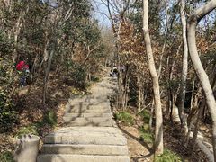 -紫金山山顶公园