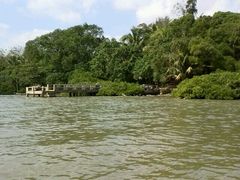 -东寨港红树林旅游区