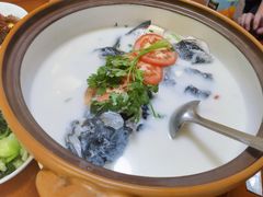 -全乐鱼馆·淳牌有机鱼直营店