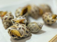 -强记海鲜·大排档(蛇口新街店)