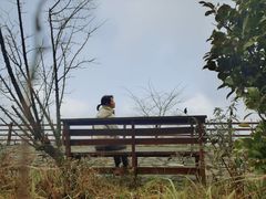 -武陵山森林公园