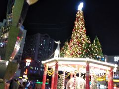 -江燕路万科里