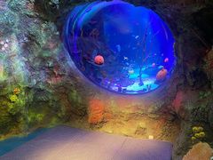 -沈阳海洋探索中心