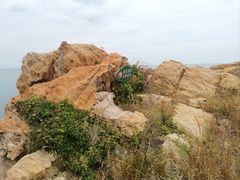 -金海滩海水浴场